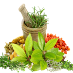 Circular image showing various ayurvedic items including a white container, a green leaf and flowers with a white background, in a round frame