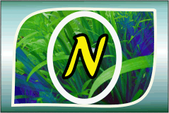 Herbal Ayurvedic medicine logo with letter A in yellow on green leafy background