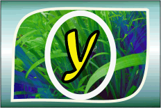 Herbal Ayurvedic medicine logo with letter A in yellow on green leafy background