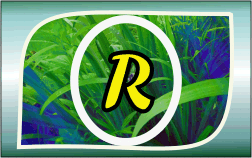 Herbal Ayurvedic medicine logo with letter A in yellow on green leafy background