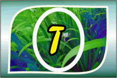 Herbal Ayurvedic medicine logo with letter A in yellow on green leafy background