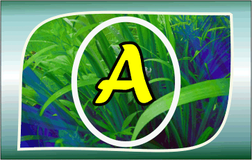 Herbal Ayurvedic medicine logo with letter A in yellow on green leafy background