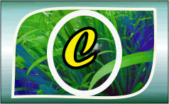 Herbal Ayurvedic medicine logo with letter A in yellow on green leafy background