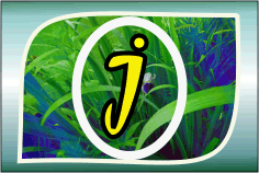 Herbal Ayurvedic medicine logo with letter A in yellow on green leafy background