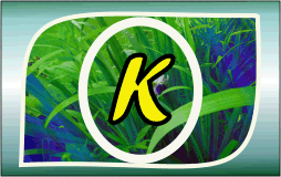 Herbal Ayurvedic medicine logo with letter A in yellow on green leafy background