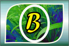 Herbal Ayurvedic medicine logo with letter A in yellow on green leafy background