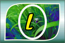 Herbal Ayurvedic medicine logo with letter A in yellow on green leafy background